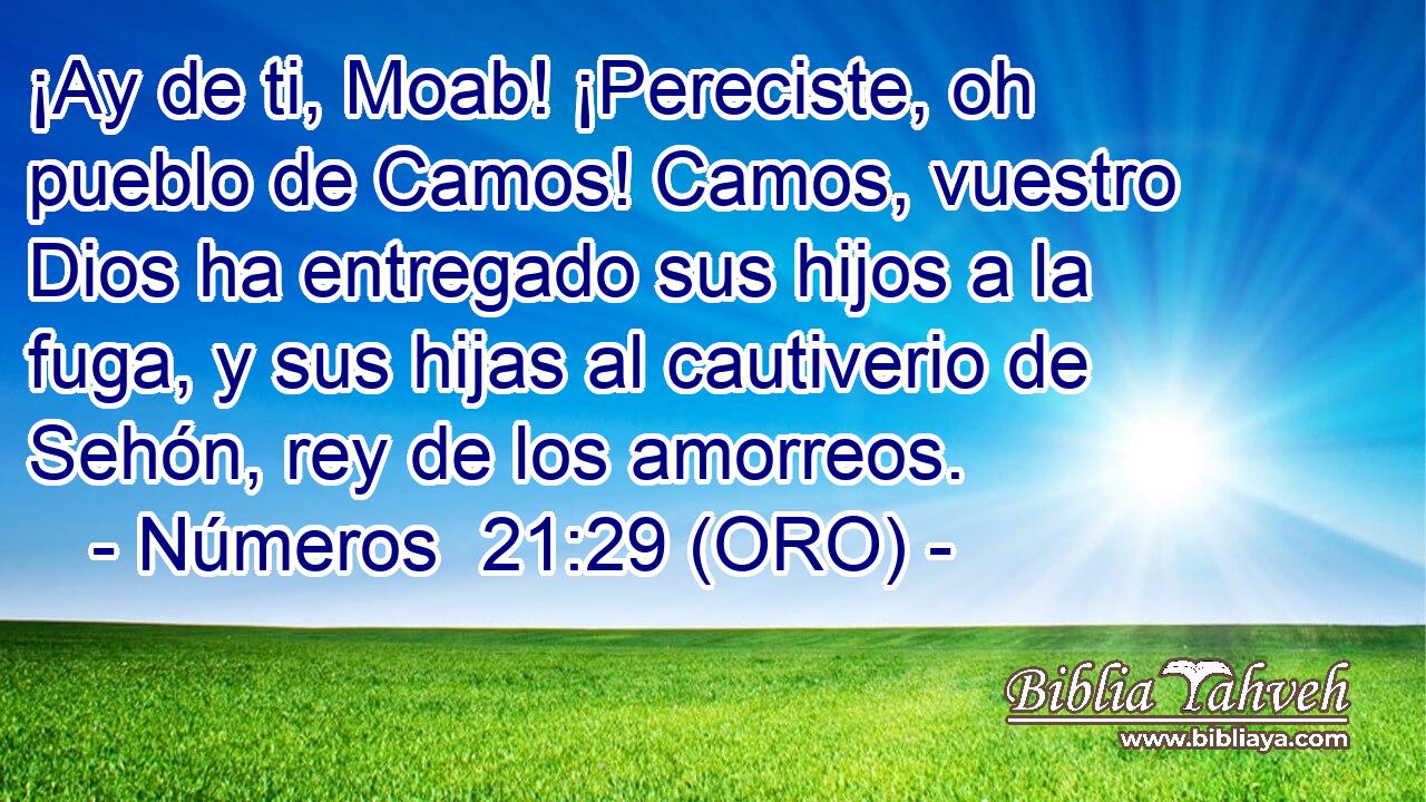 ¡Ay de ti, Moab! ¡Pereciste, oh pueblo de Camos! Camos, vuestro Dios ha entregado sus hijos a la fuga, y sus hijas al cautiverio de Sehón, rey de los amorreos. 