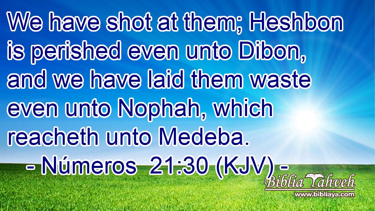 We have shot at them; Heshbon is perished even unto Dibon, and we have laid them waste even unto Nophah, which reacheth unto Medeba.