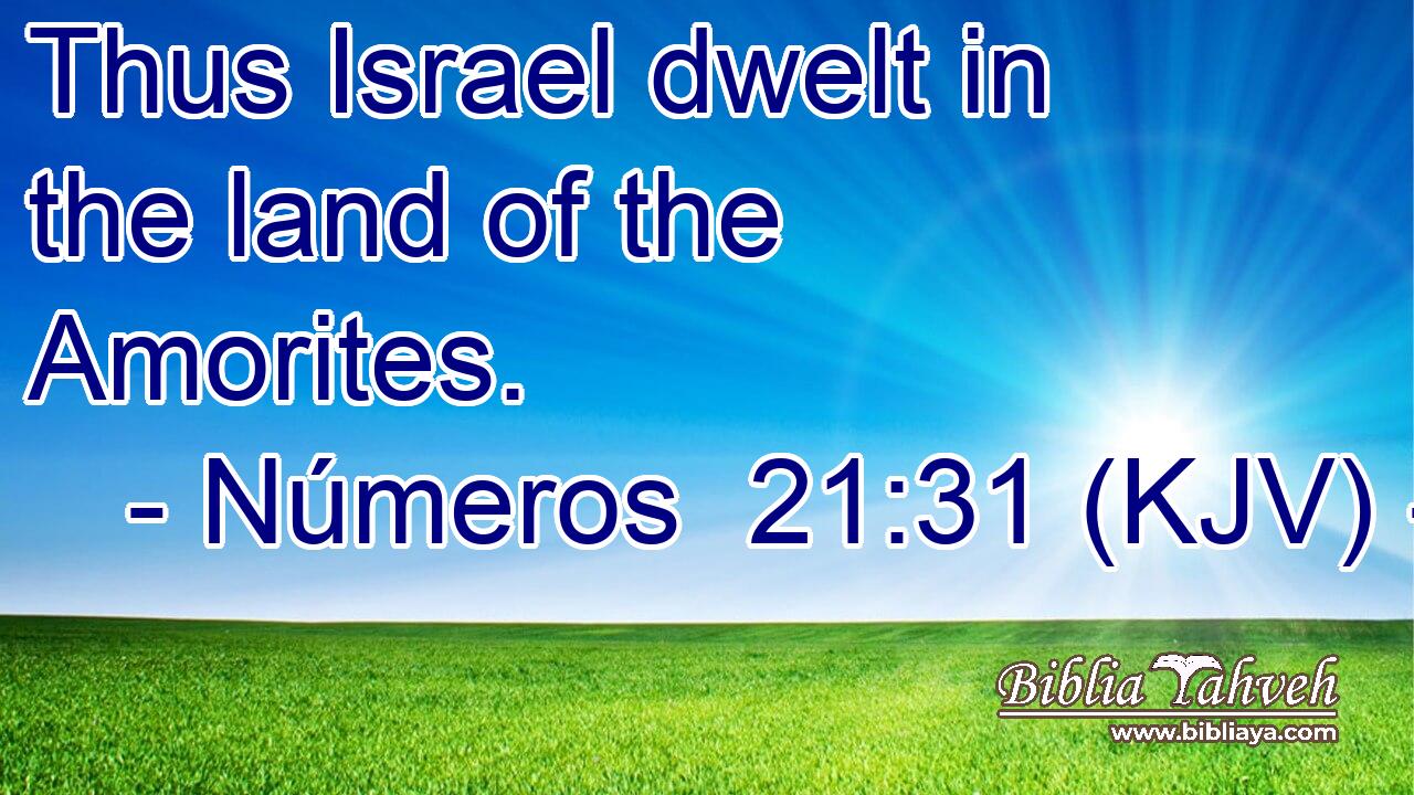 Thus Israel dwelt in the land of the Amorites.