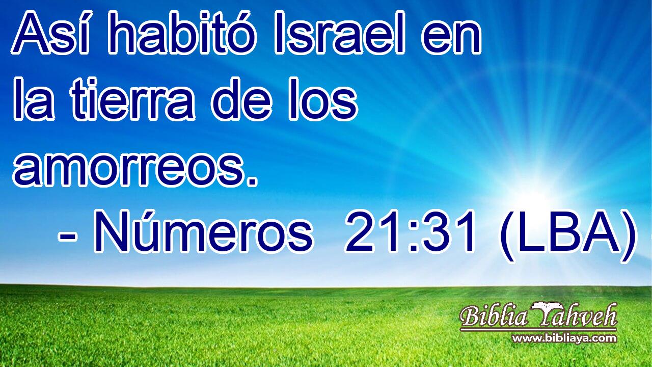 Así habitó Israel en la tierra de los amorreos.