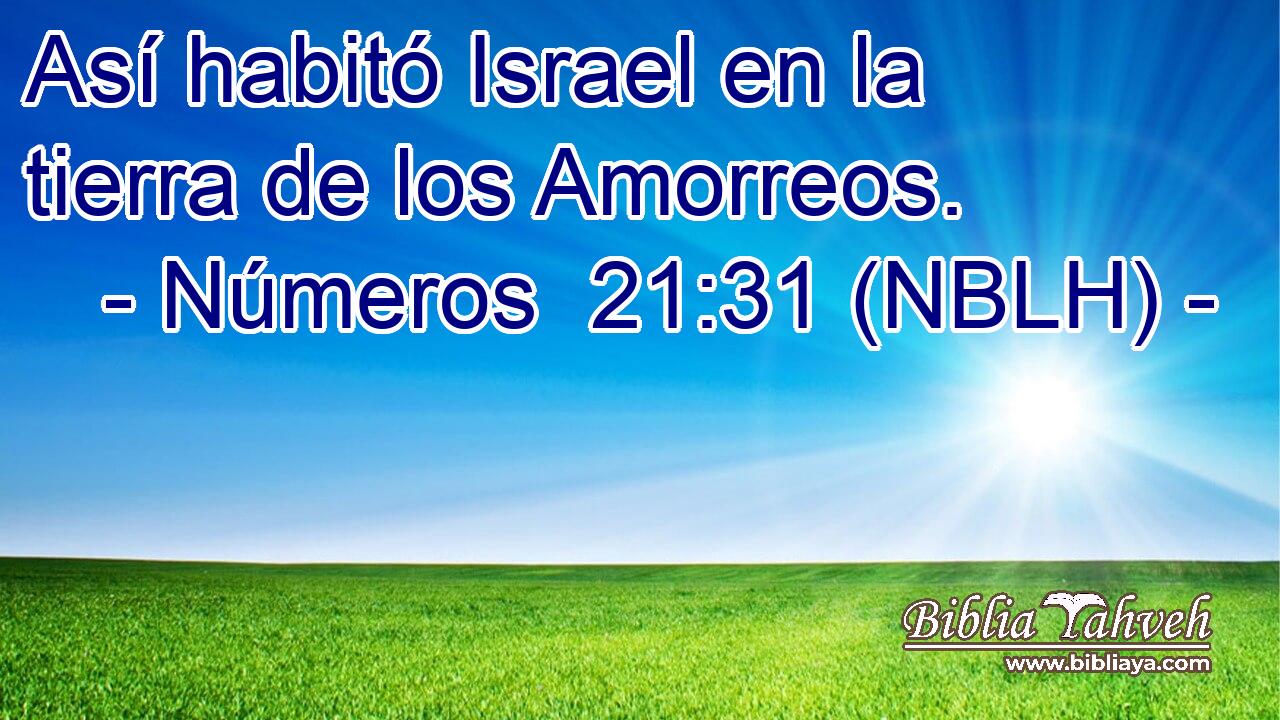  Así habitó Israel en la tierra de los Amorreos. 
