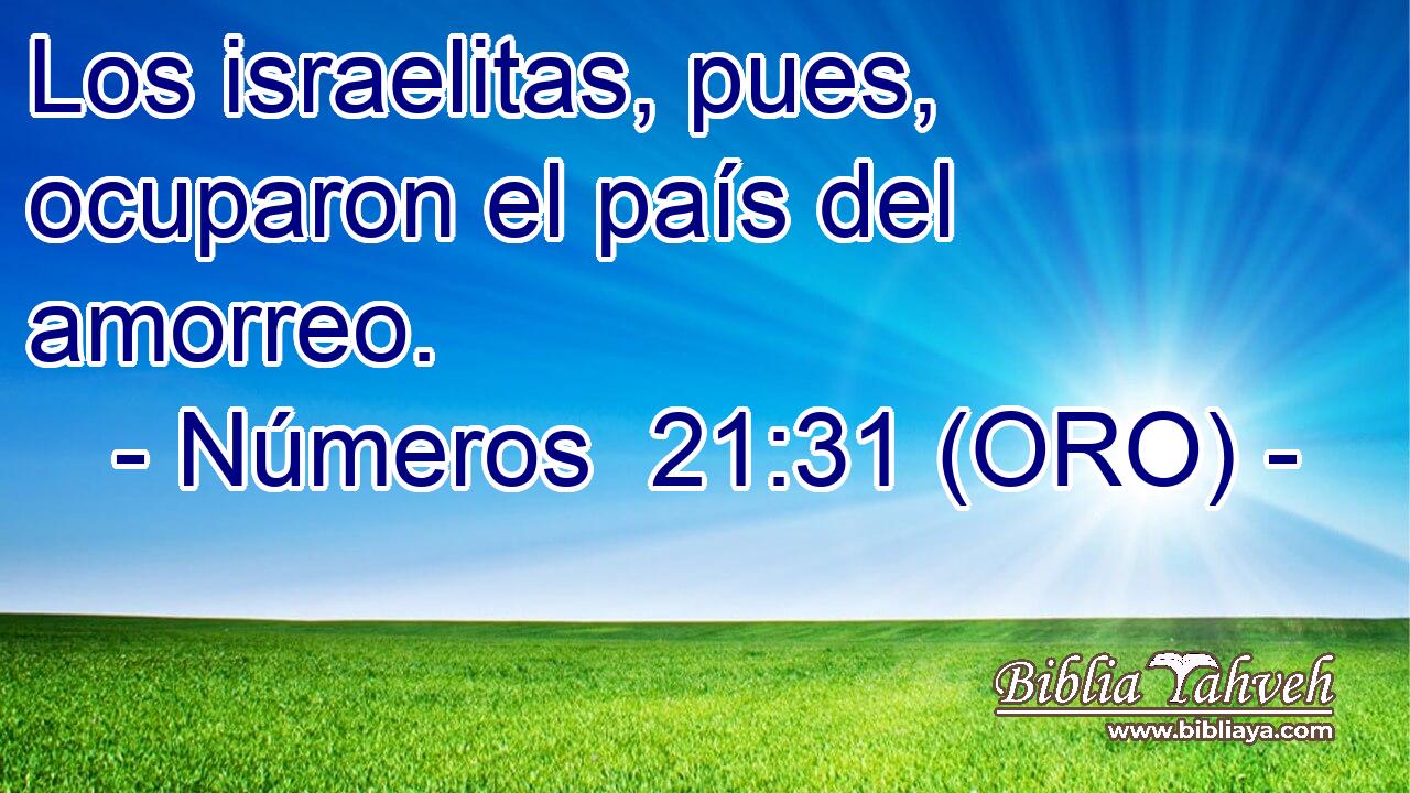  Los israelitas, pues, ocuparon el país del amorreo. 