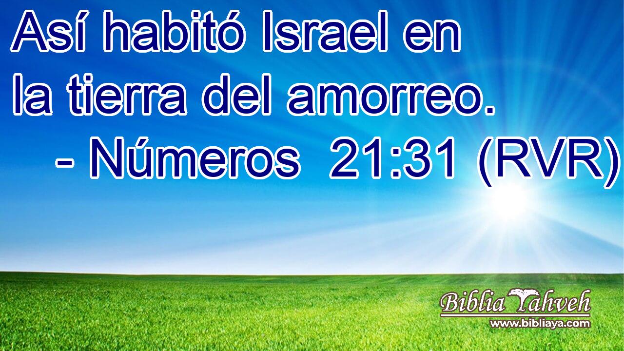 Así habitó Israel en la tierra del amorreo.