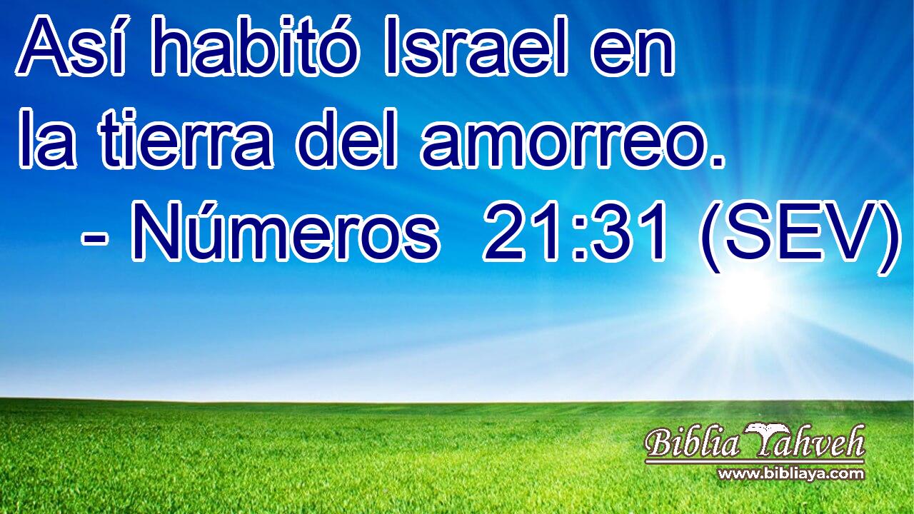 Así habitó Israel en la tierra del amorreo.