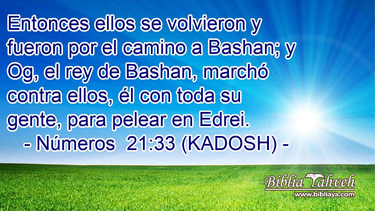  Entonces ellos se volvieron y fueron por el camino a Bashan; y Og, el rey de Bashan, marchó contra ellos, él con toda su gente, para pelear en Edrei. 