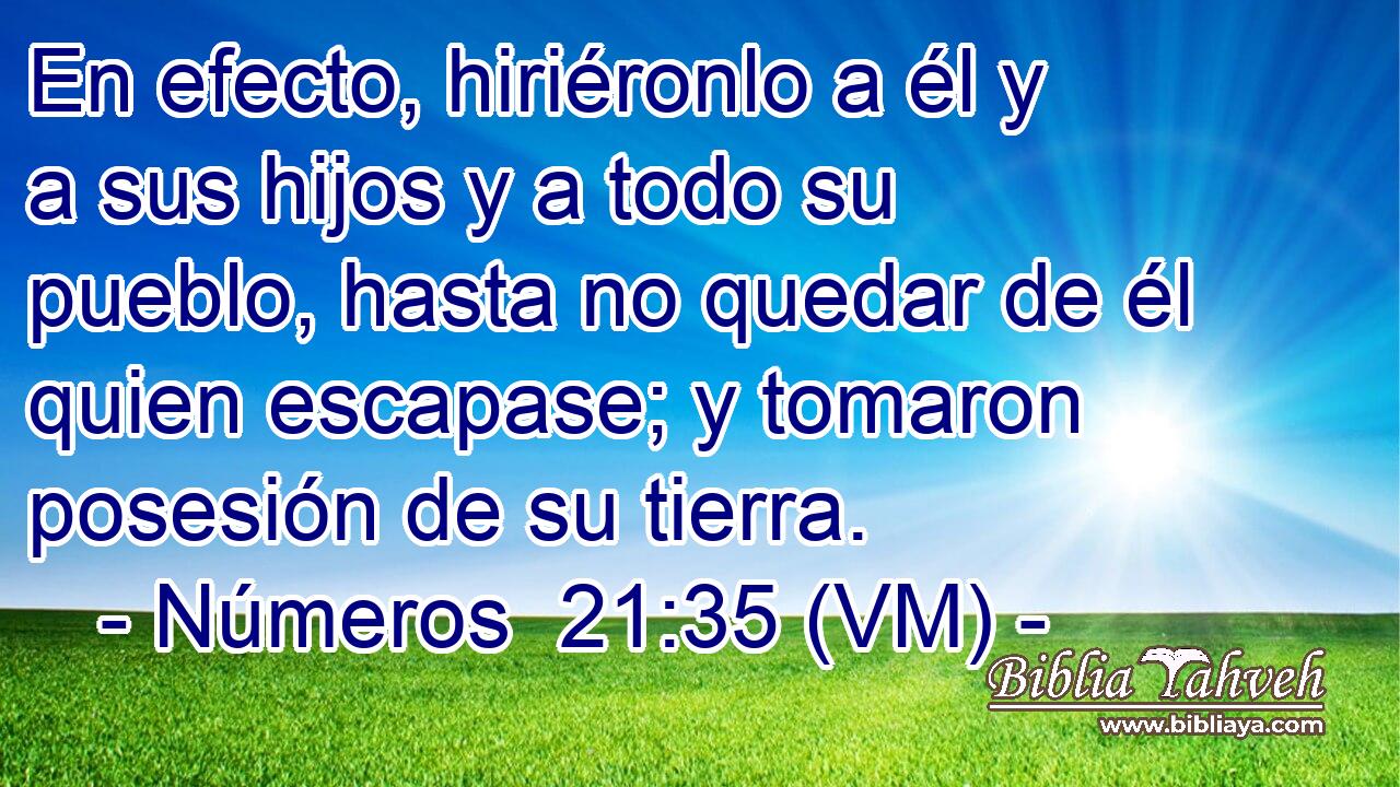  En efecto, hiriéronlo a él y a sus hijos y a todo su pueblo, hasta no quedar de él quien escapase; y tomaron posesión de su tierra. 