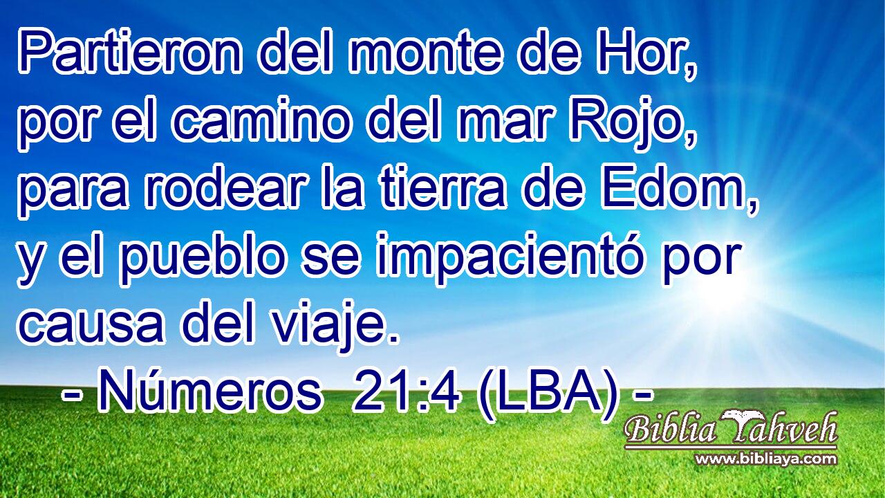 Partieron del monte de Hor, por el camino del mar Rojo, para rodear la tierra de Edom, y el pueblo se impacientó por causa del viaje.