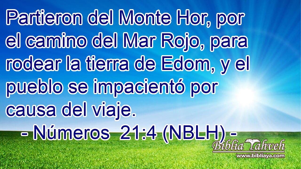  Partieron del Monte Hor, por el camino del Mar Rojo, para rodear la tierra de Edom, y el pueblo se impacientó por causa del viaje. 