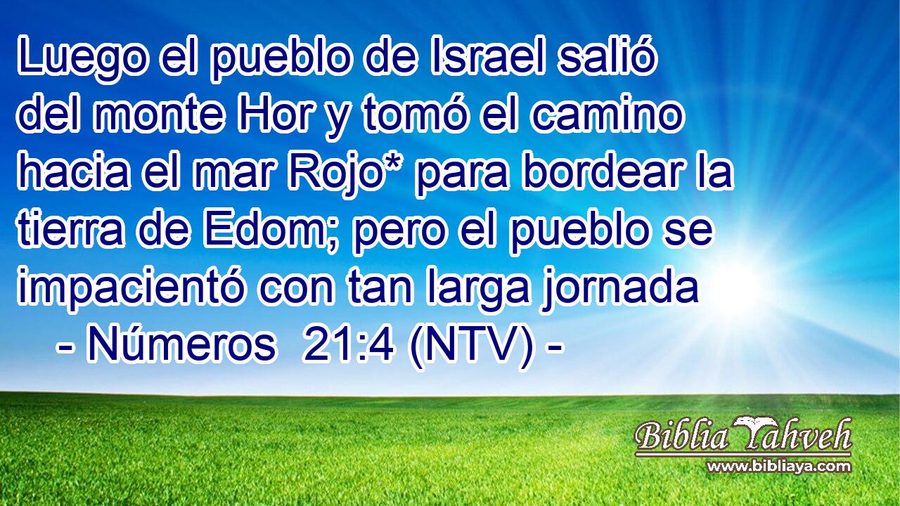 Luego el pueblo de Israel salió del monte Hor y tomó el camino hacia el mar Rojo* para bordear la tierra de Edom; pero el pueblo se impacientó con tan larga jornada