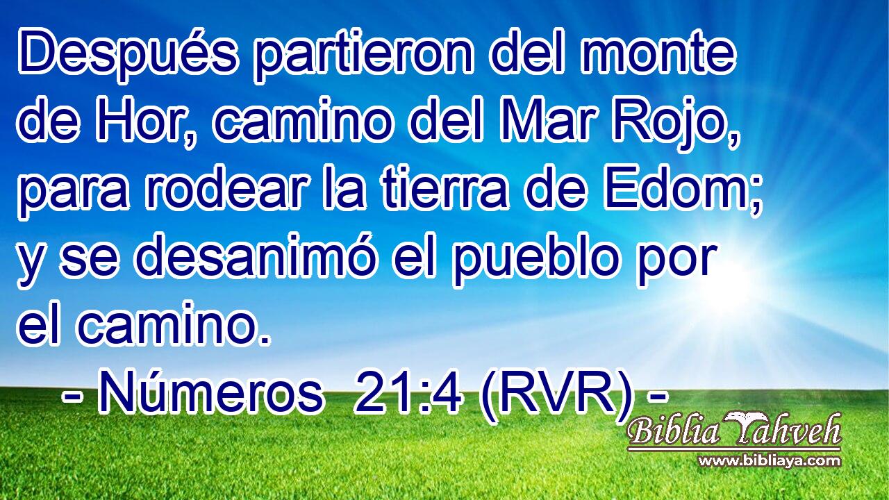 Después partieron del monte de Hor, camino del Mar Rojo, para rodear la tierra de Edom; y se desanimó el pueblo por el camino.