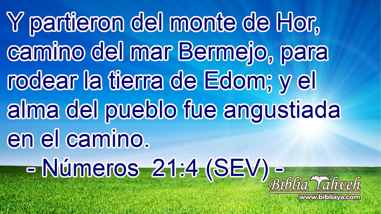 Y partieron del monte de Hor, camino del mar Bermejo, para rodear la tierra de Edom; y el alma del pueblo fue angustiada en el camino.