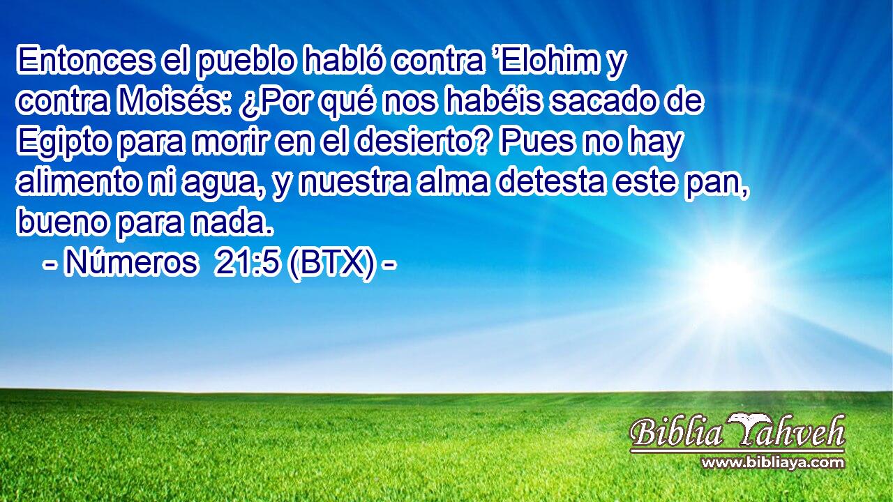Entonces el pueblo habló contra ’Elohim y contra Moisés: ¿Por qué nos habéis sacado de Egipto para morir en el desierto? Pues no hay alimento ni agua, y nuestra alma detesta este pan, bueno para nada.