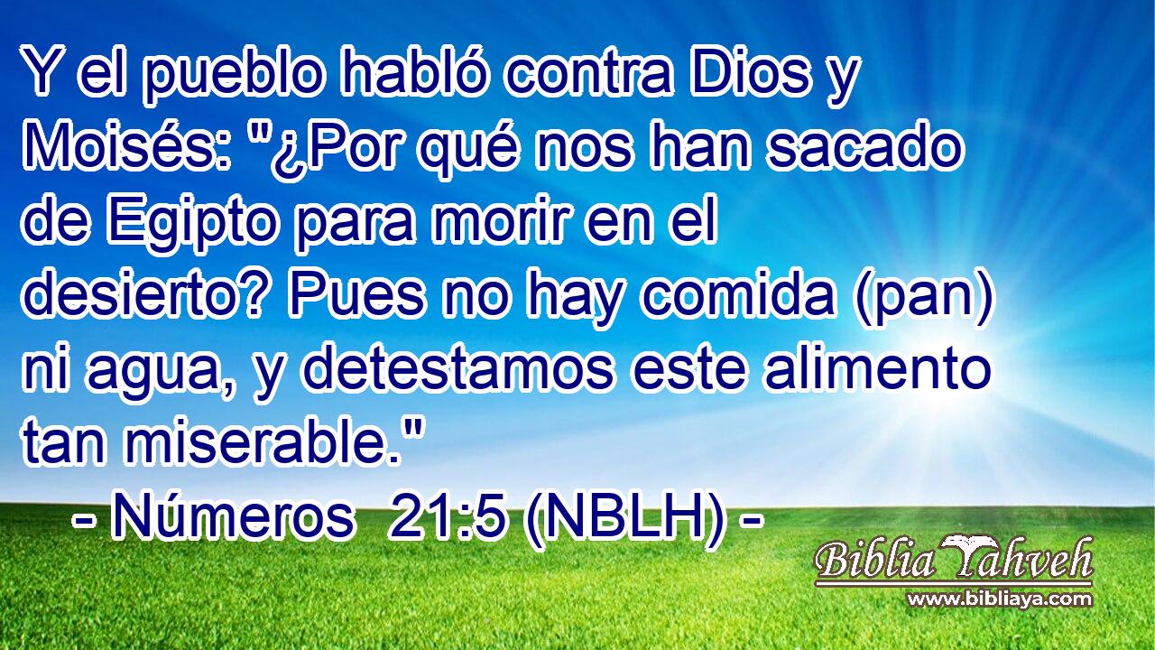  Y el pueblo habló contra Dios y Moisés: 