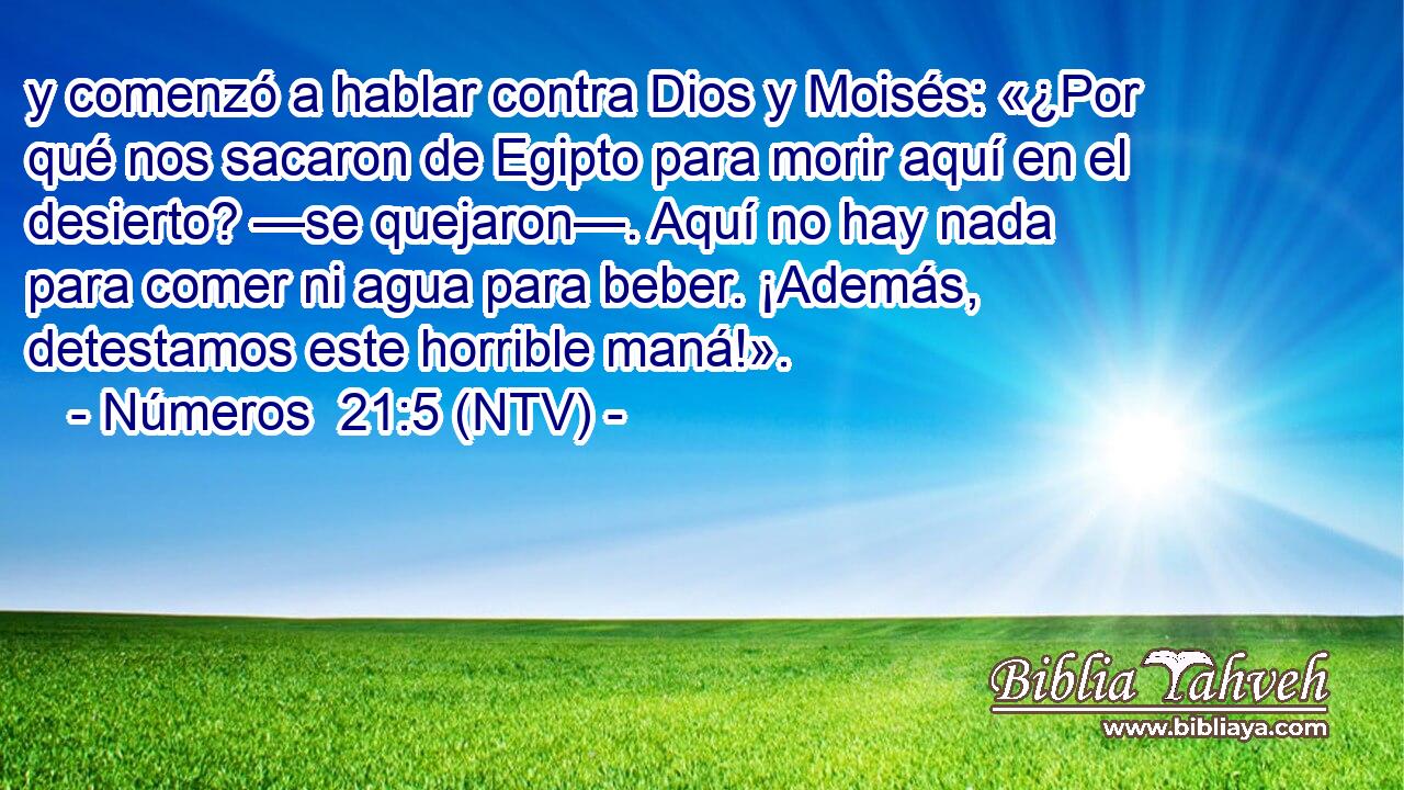 y comenzó a hablar contra Dios y Moisés: «¿Por qué nos sacaron de Egipto para morir aquí en el desierto? —se quejaron—. Aquí no hay nada para comer ni agua para beber. ¡Además, detestamos este horrible maná!».