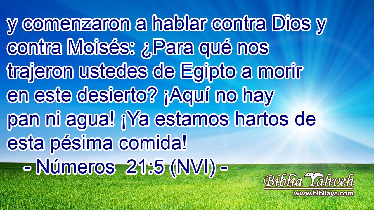  y comenzaron a hablar contra Dios y contra Moisés: ¿Para qué nos trajeron ustedes de Egipto a morir en este desierto? ¡Aquí no hay pan ni agua! ¡Ya estamos hartos de esta pésima comida! 
