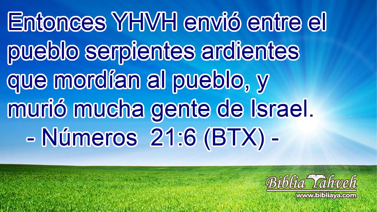 Entonces YHVH envió entre el pueblo serpientes ardientes que mordían al pueblo, y murió mucha gente de Israel.
