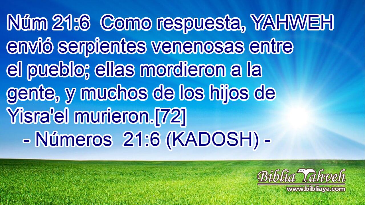  Como respuesta, YAHWEH envió serpientes venenosas entre el pueblo; ellas mordieron a la gente, y muchos de los hijos de Yisra'el murieron.[72] 