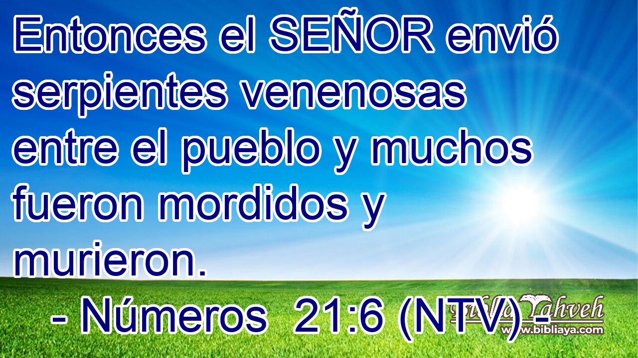 Entonces el SEÑOR envió serpientes venenosas entre el pueblo y muchos fueron mordidos y murieron.