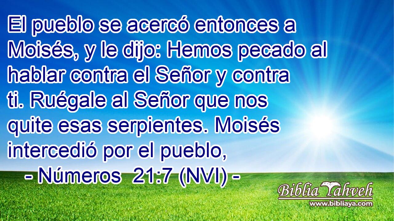  El pueblo se acercó entonces a Moisés, y le dijo: Hemos pecado al hablar contra el Señor y contra ti. Ruégale al Señor que nos quite esas serpientes. Moisés intercedió por el pueblo, 