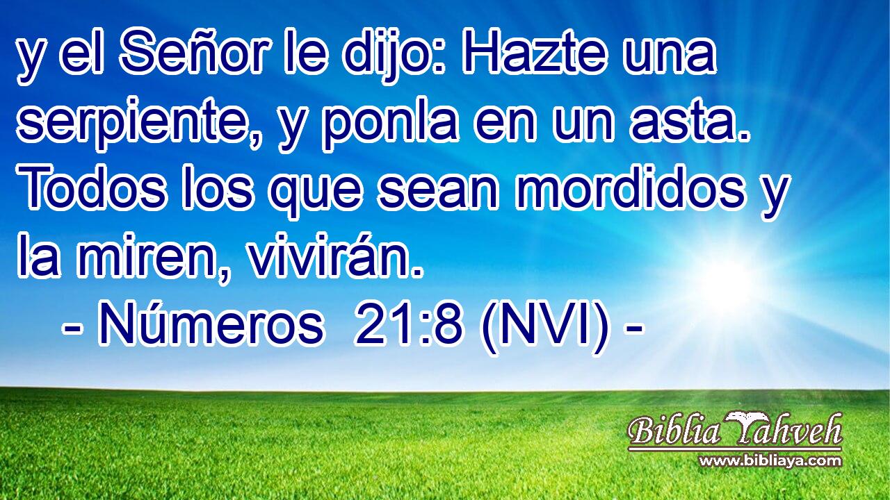  y el Señor le dijo: Hazte una serpiente, y ponla en un asta. Todos los que sean mordidos y la miren, vivirán. 