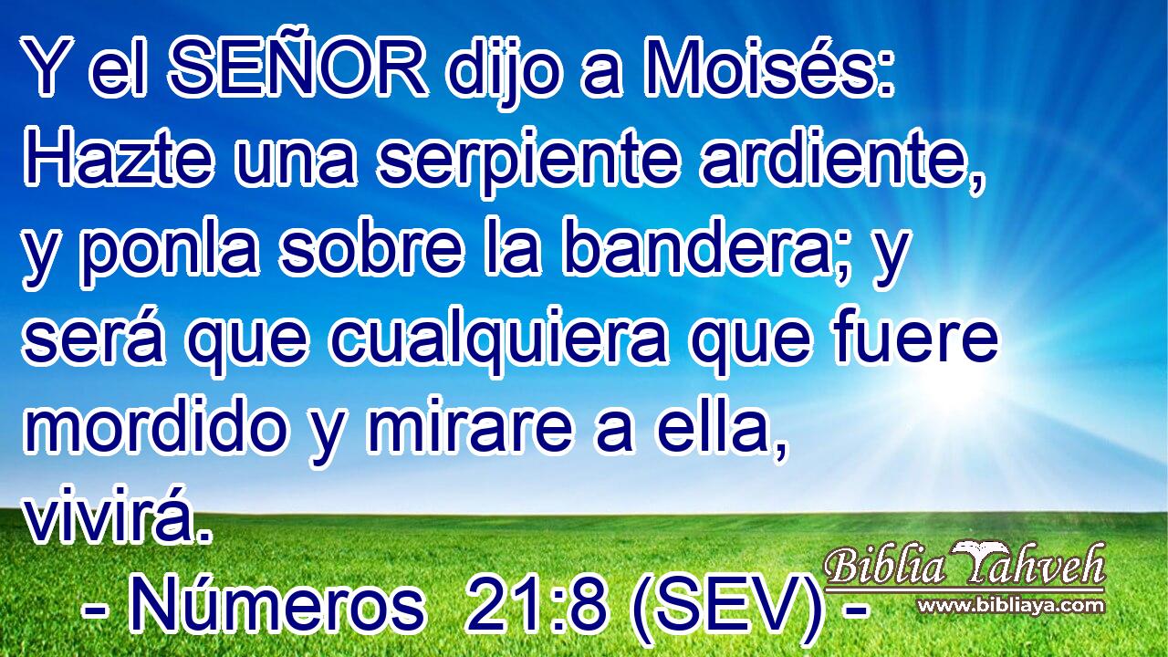 Y el SEÑOR dijo a Moisés: Hazte una serpiente ardiente, y ponla sobre la bandera; y será que cualquiera que fuere mordido y mirare a ella, vivirá.
