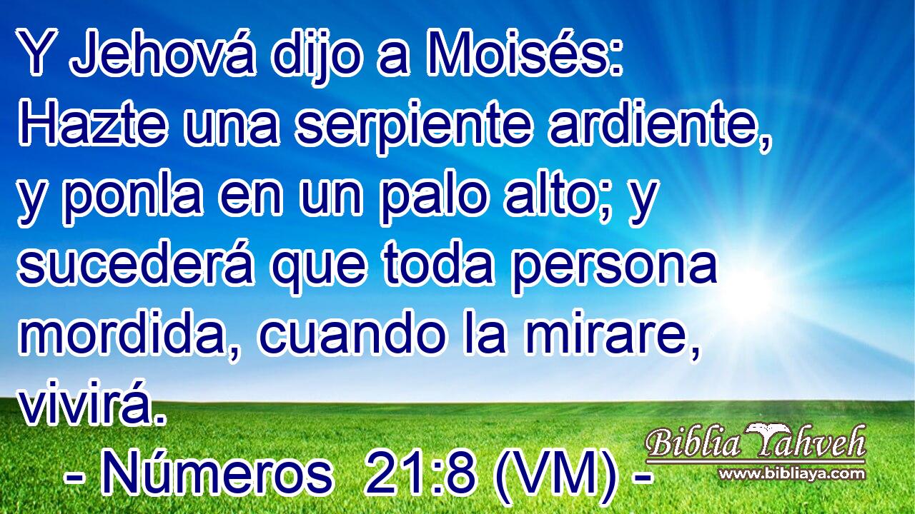  Y Jehová dijo a Moisés: Hazte una serpiente ardiente, y ponla en un palo alto; y sucederá que toda persona mordida, cuando la mirare, vivirá. 