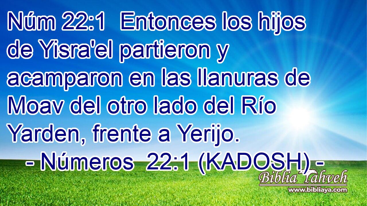  Entonces los hijos de Yisra'el partieron y acamparon en las llanuras de Moav del otro lado del Río Yarden, frente a Yerijo. 
