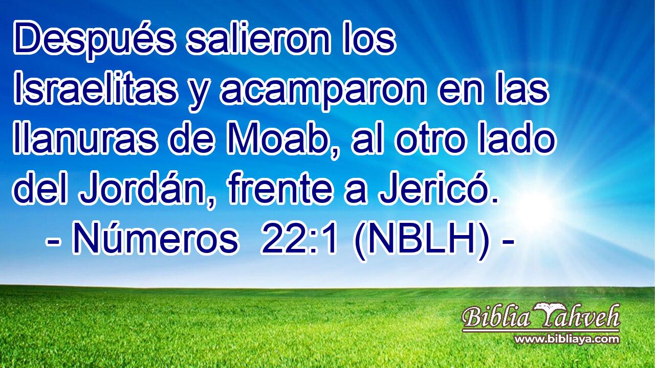  Después salieron los Israelitas y acamparon en las llanuras de Moab, al otro lado del Jordán, frente a Jericó. 
