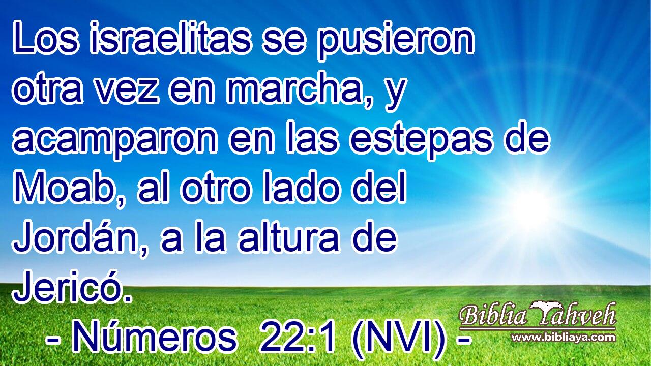  Los israelitas se pusieron otra vez en marcha, y acamparon en las estepas de Moab, al otro lado del Jordán, a la altura de Jericó. 