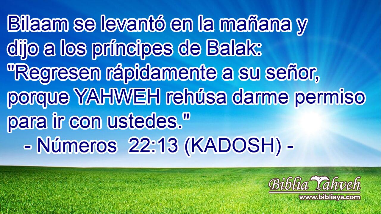 Bilaam se levantó en la mañana y dijo a los príncipes de Balak: 