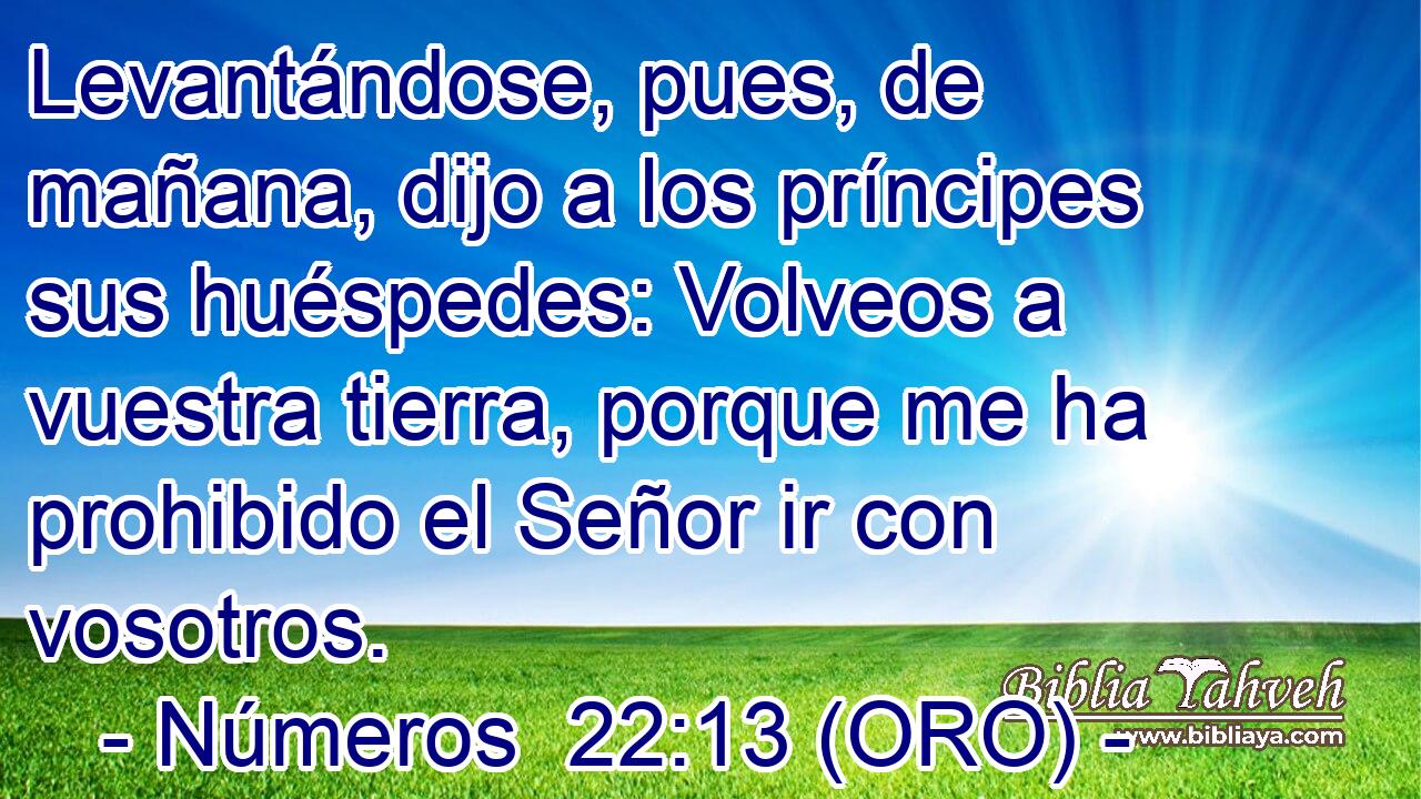 Levantándose, pues, de mañana, dijo a los príncipes sus huéspedes: Volveos a vuestra tierra, porque me ha prohibido el Señor ir con vosotros. 