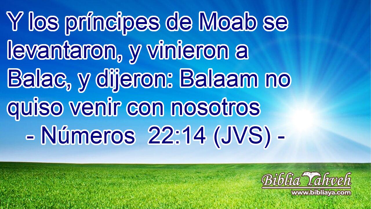 Y los príncipes de Moab se levantaron, y vinieron a Balac, y dijeron: Balaam no quiso venir con nosotros
