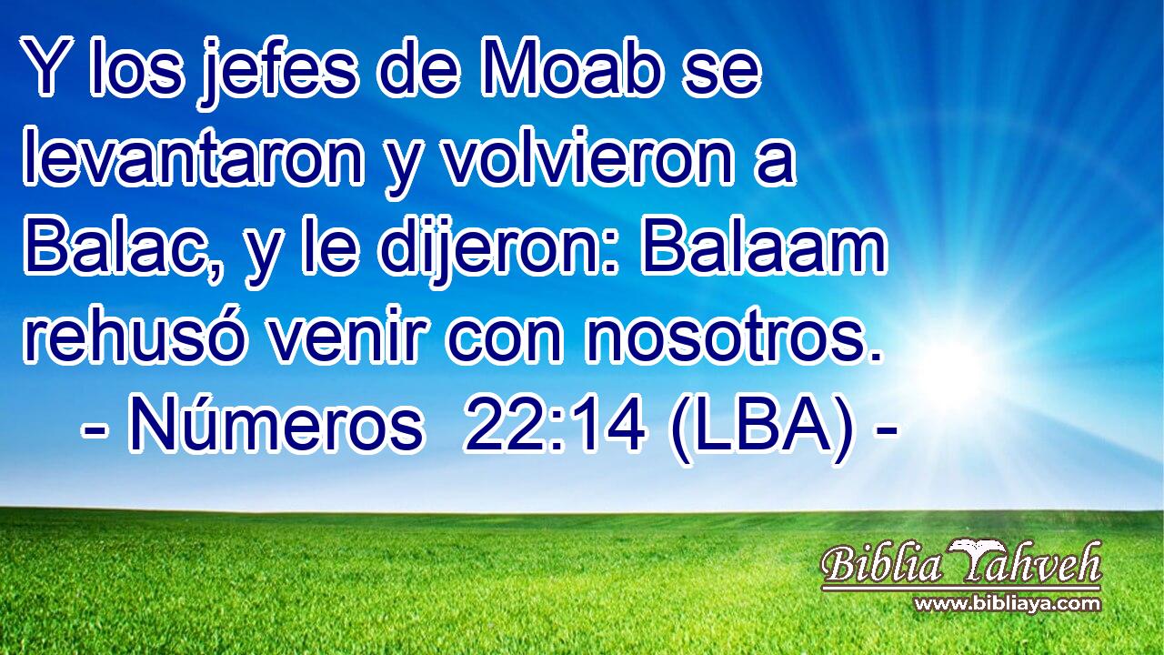Y los jefes de Moab se levantaron y volvieron a Balac, y le dijeron: Balaam rehusó venir con nosotros.