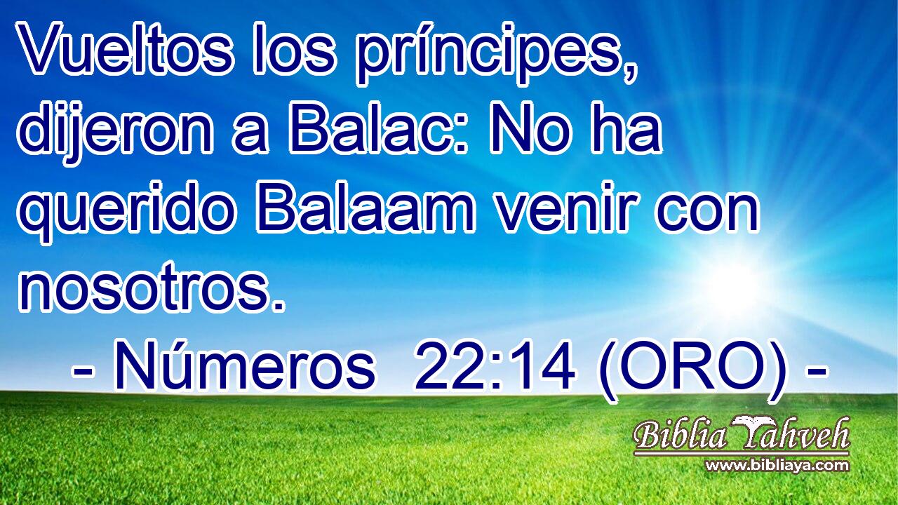  Vueltos los príncipes, dijeron a Balac: No ha querido Balaam venir con nosotros. 