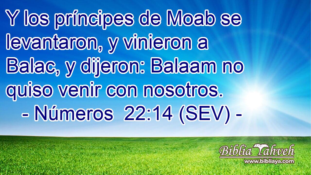 Y los príncipes de Moab se levantaron, y vinieron a Balac, y dijeron: Balaam no quiso venir con nosotros.