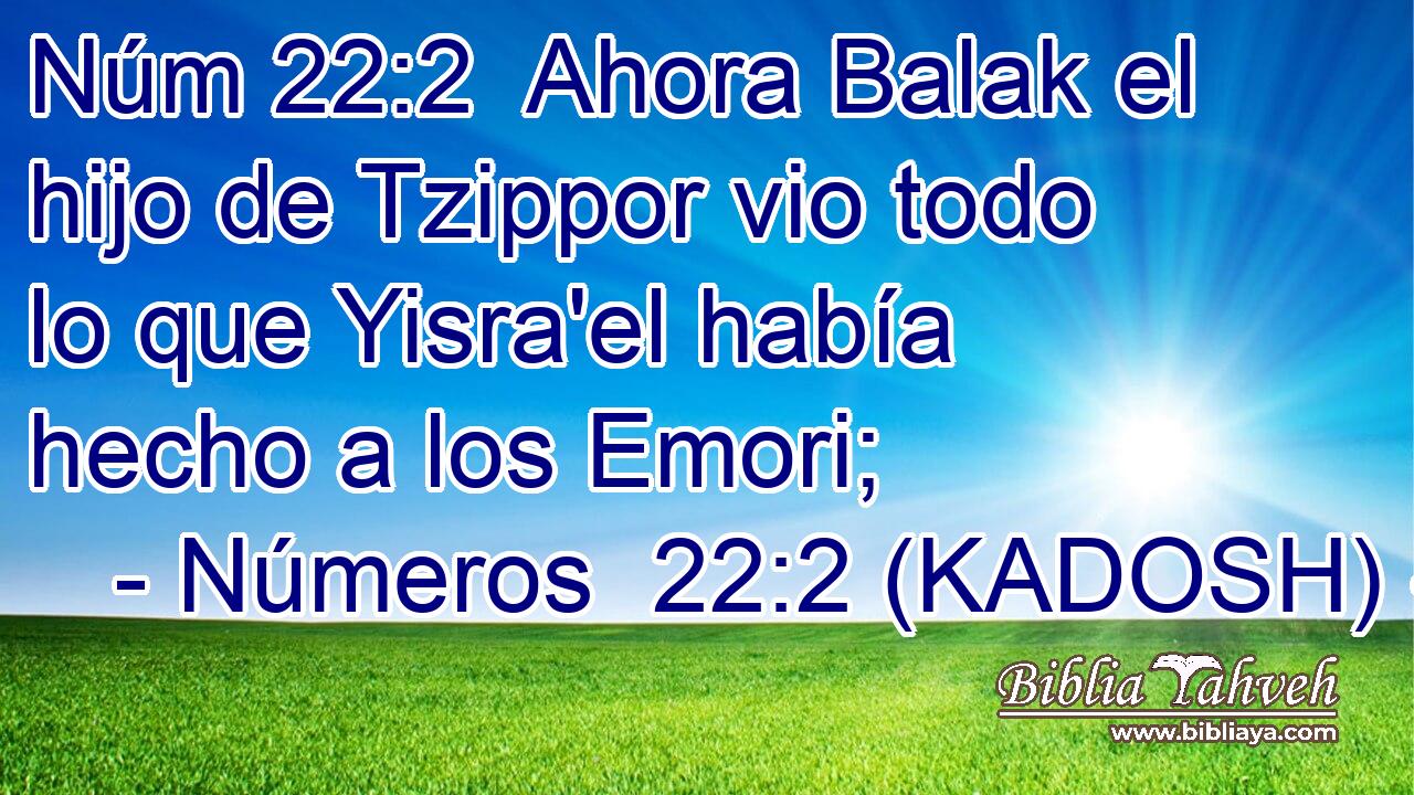  Ahora Balak el hijo de Tzippor vio todo lo que Yisra'el había hecho a los Emori; 