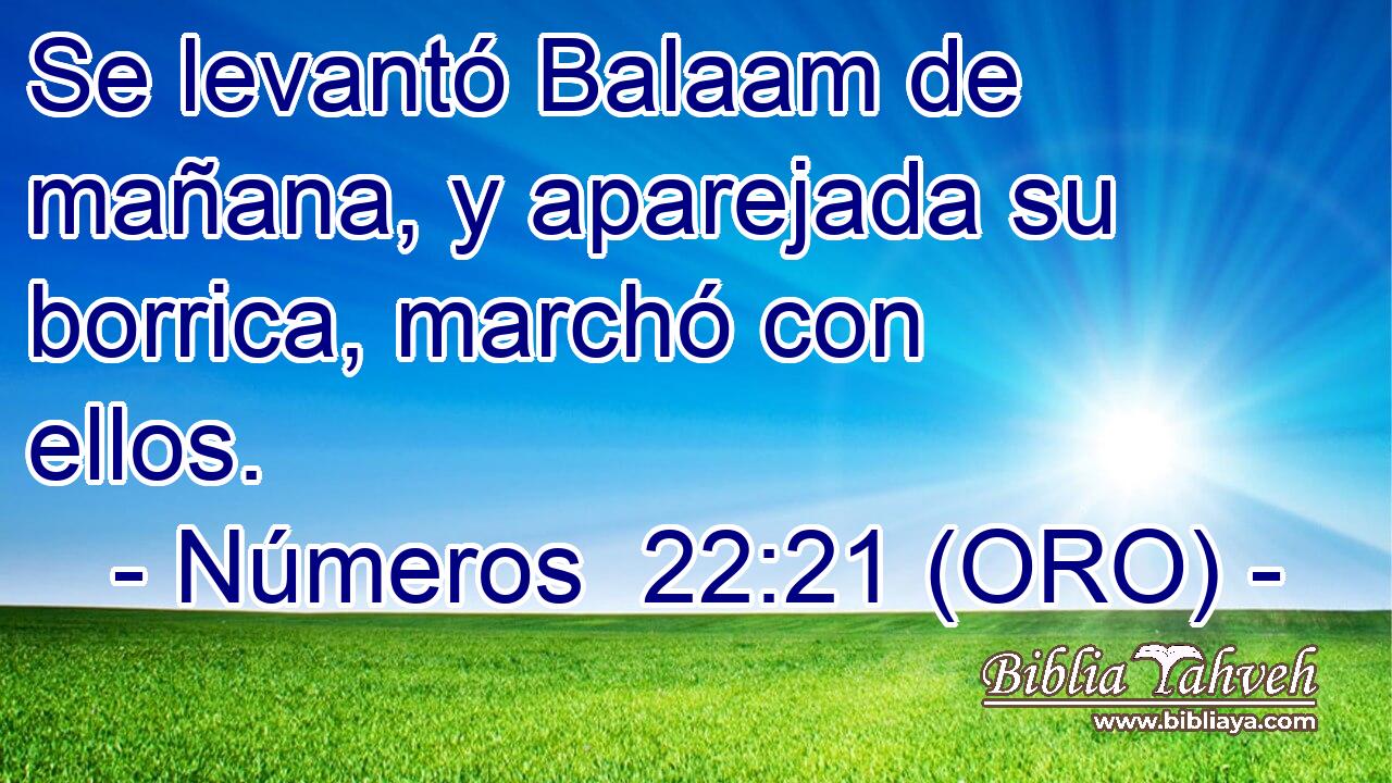  Se levantó Balaam de mañana, y aparejada su borrica, marchó con ellos. 