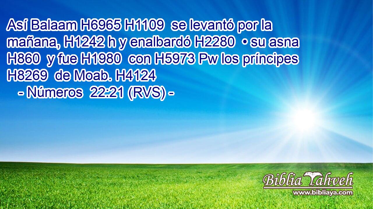 Así Balaam H6965 H1109  se levantó por la mañana, H1242 h y enalbardó H2280  • su asna H860  y fue H1980  con H5973 Pw los príncipes H8269  de Moab. H4124  