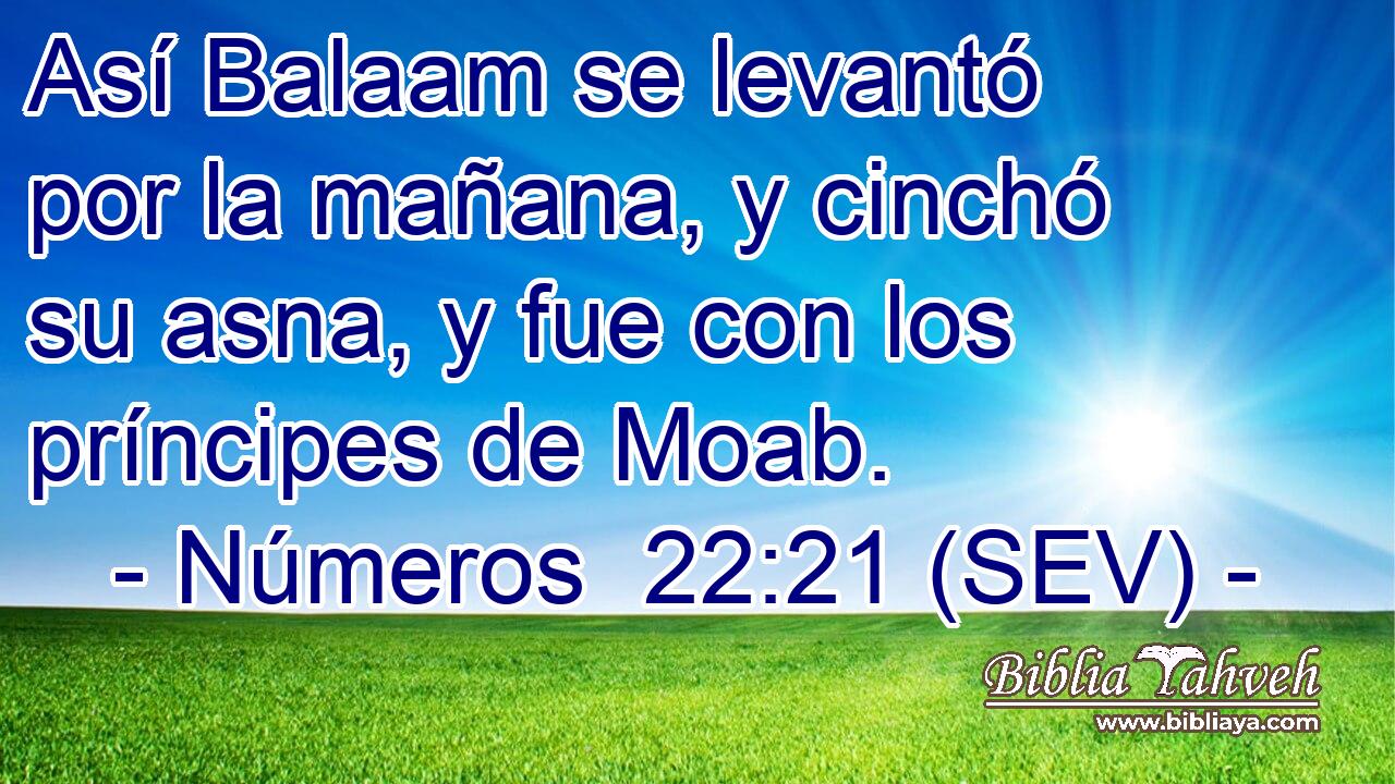 Así Balaam se levantó por la mañana, y cinchó su asna, y fue con los príncipes de Moab.
