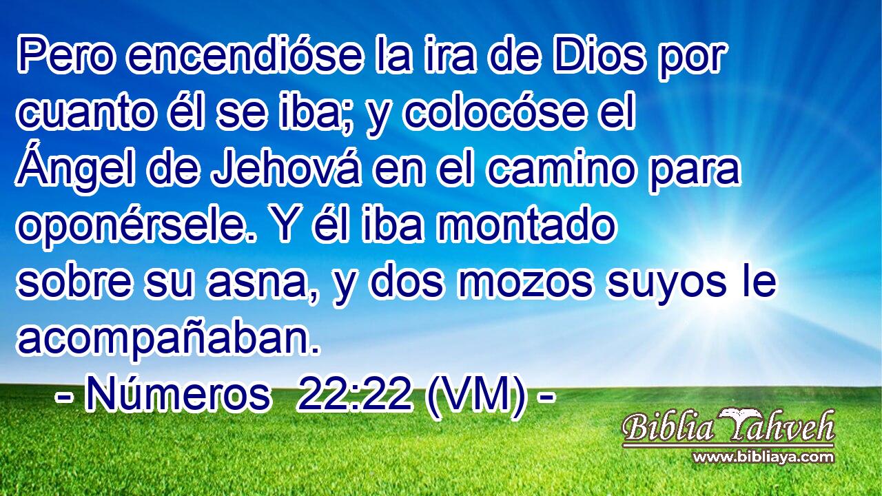  Pero encendióse la ira de Dios por cuanto él se iba; y colocóse el Ángel de Jehová en el camino para oponérsele. Y él iba montado sobre su asna, y dos mozos suyos le acompañaban. 