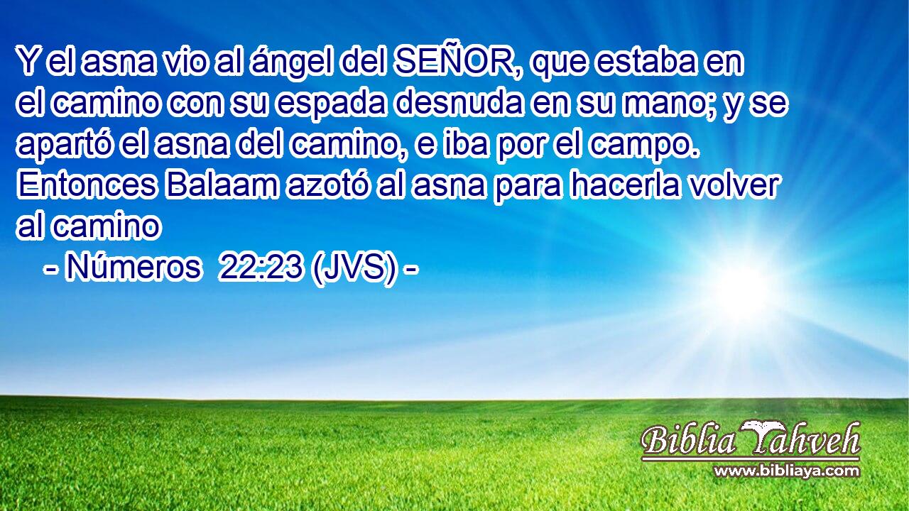 Y el asna vio al ángel del SEÑOR, que estaba en el camino con su espada desnuda en su mano; y se apartó el asna del camino, e iba por el campo. Entonces Balaam azotó al asna para hacerla volver al camino