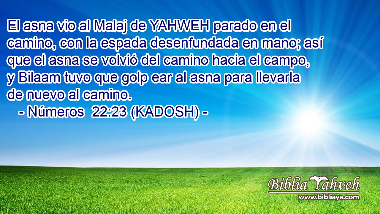  El asna vio al Malaj de YAHWEH parado en el camino, con la espada desenfundada en mano; así que el asna se volvió del camino hacia el campo, y Bilaam tuvo que golp ear al asna para llevarla de nuevo al camino. 