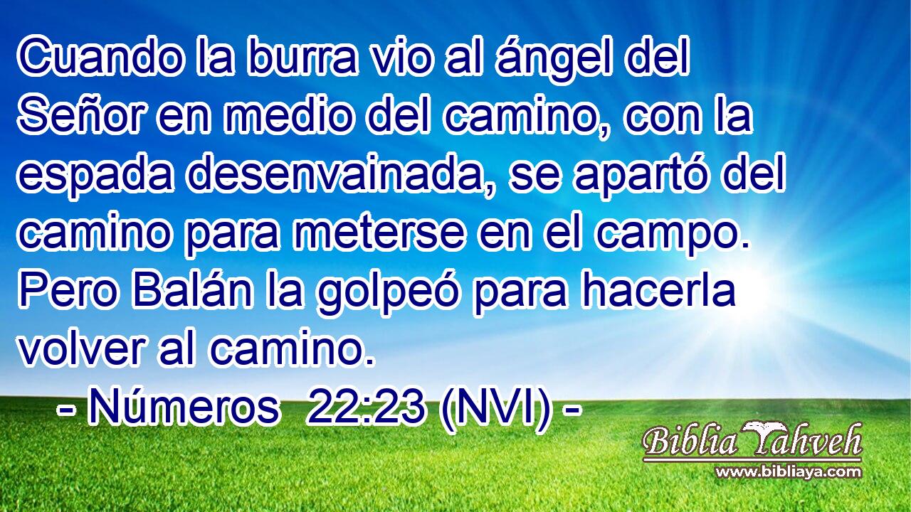  Cuando la burra vio al ángel del Señor en medio del camino, con la espada desenvainada, se apartó del camino para meterse en el campo. Pero Balán la golpeó para hacerla volver al camino. 