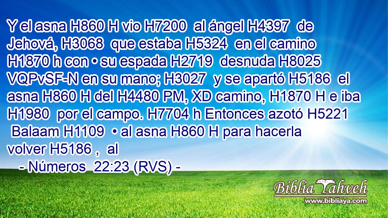 Y el asna H860 H vio H7200  al ángel H4397  de Jehová, H3068  que estaba H5324  en el camino H1870 h con • su espada H2719  desnuda H8025 VQPvSF-N en su mano; H3027  y se apartó H5186  el asna H860 H del H4480 PM, XD camino, H1870 H e iba H1980  por el campo. H7704 h Entonces azotó H5221  Balaam H1109  • al asna H860 H para hacerla volver H5186 ,  al 