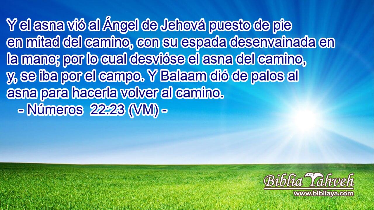  Y el asna vió al Ángel de Jehová puesto de pie en mitad del camino, con su espada desenvainada en la mano; por lo cual desvióse el asna del camino, y, se iba por el campo. Y Balaam dió de palos al asna para hacerla volver al camino. 