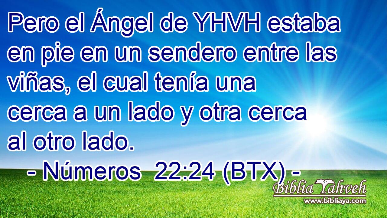 Pero el Ángel de YHVH estaba en pie en un sendero entre las viñas, el cual tenía una cerca a un lado y otra cerca al otro lado.