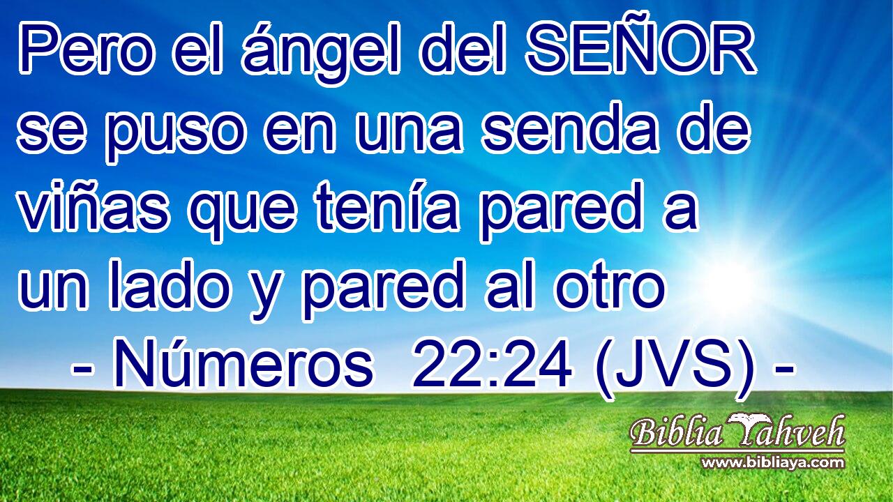 Pero el ángel del SEÑOR se puso en una senda de viñas que tenía pared a un lado y pared al otro