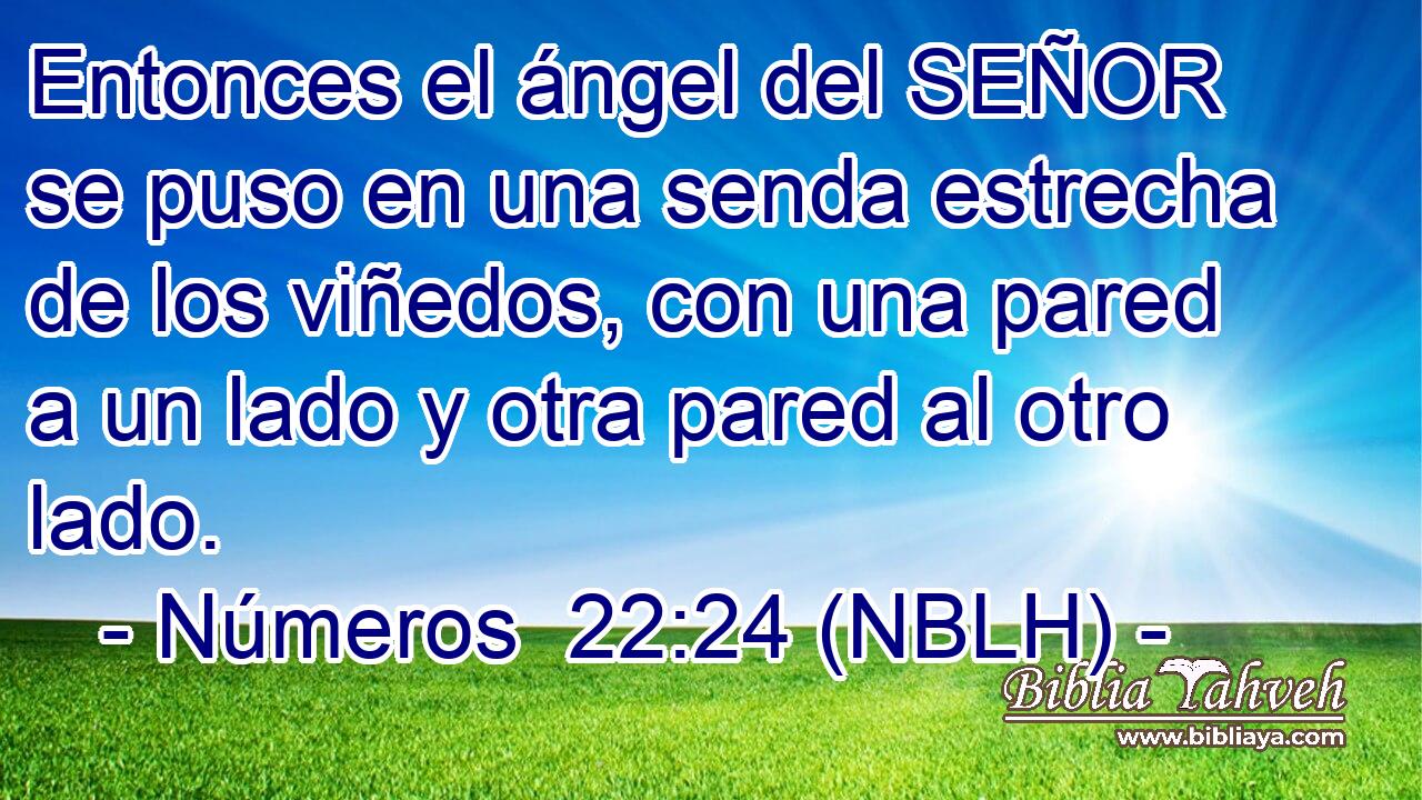  Entonces el ángel del SEÑOR se puso en una senda estrecha de los viñedos, con una pared a un lado y otra pared al otro lado. 