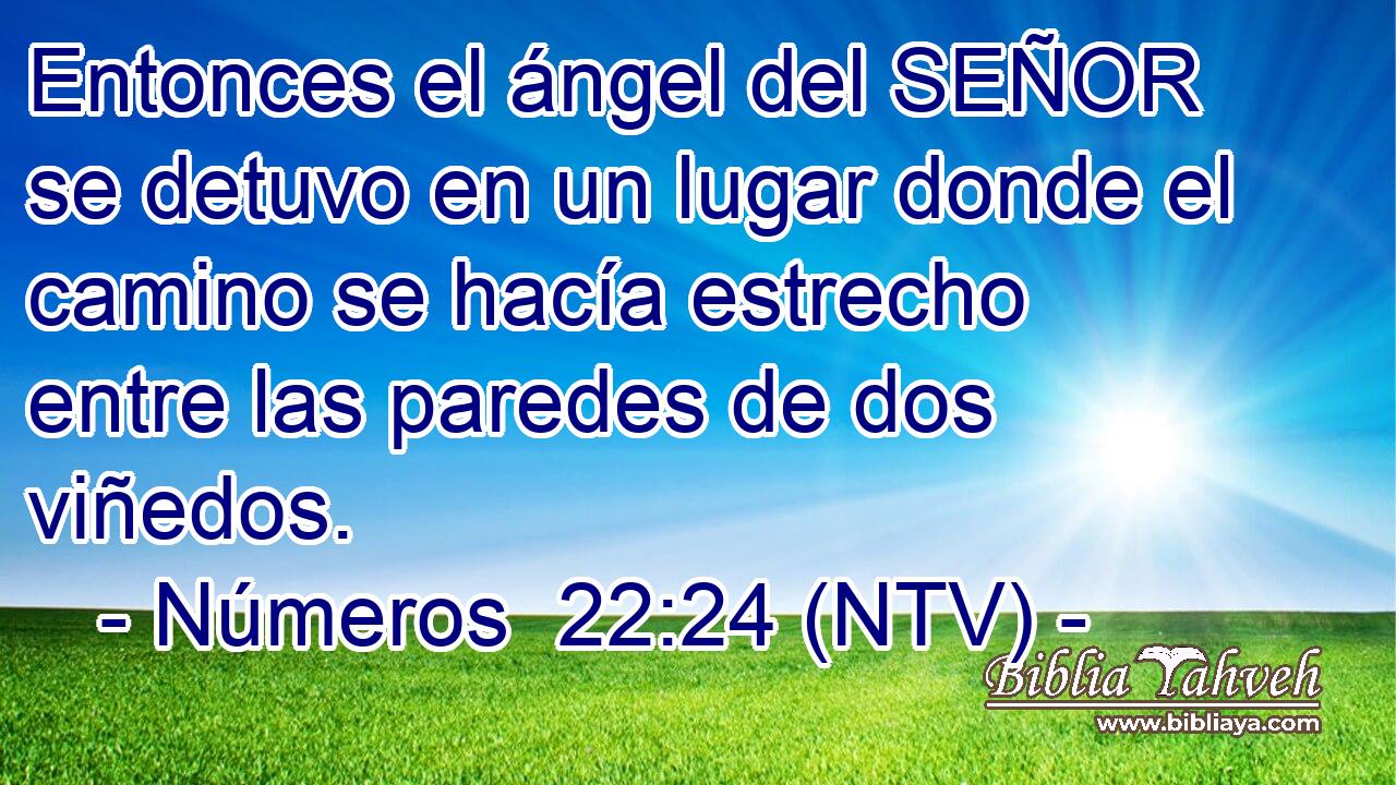 Entonces el ángel del SEÑOR se detuvo en un lugar donde el camino se hacía estrecho entre las paredes de dos viñedos.