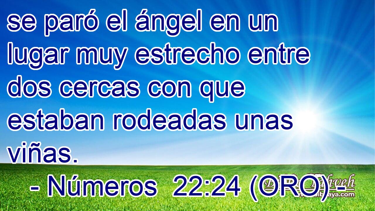  se paró el ángel en un lugar muy estrecho entre dos cercas con que estaban rodeadas unas viñas. 